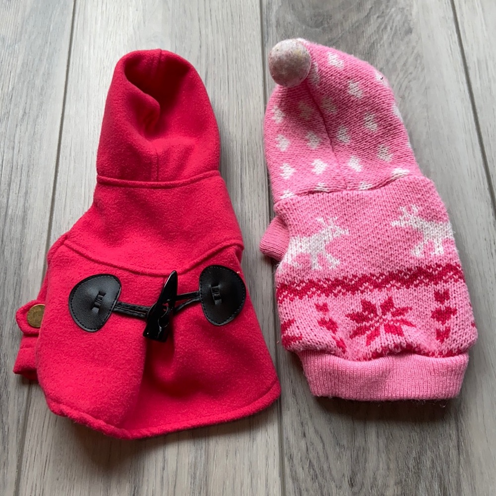 XXS dog winter bundle